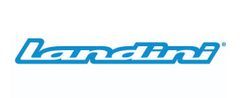 Landini