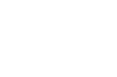 NPA Security Consulting Logo