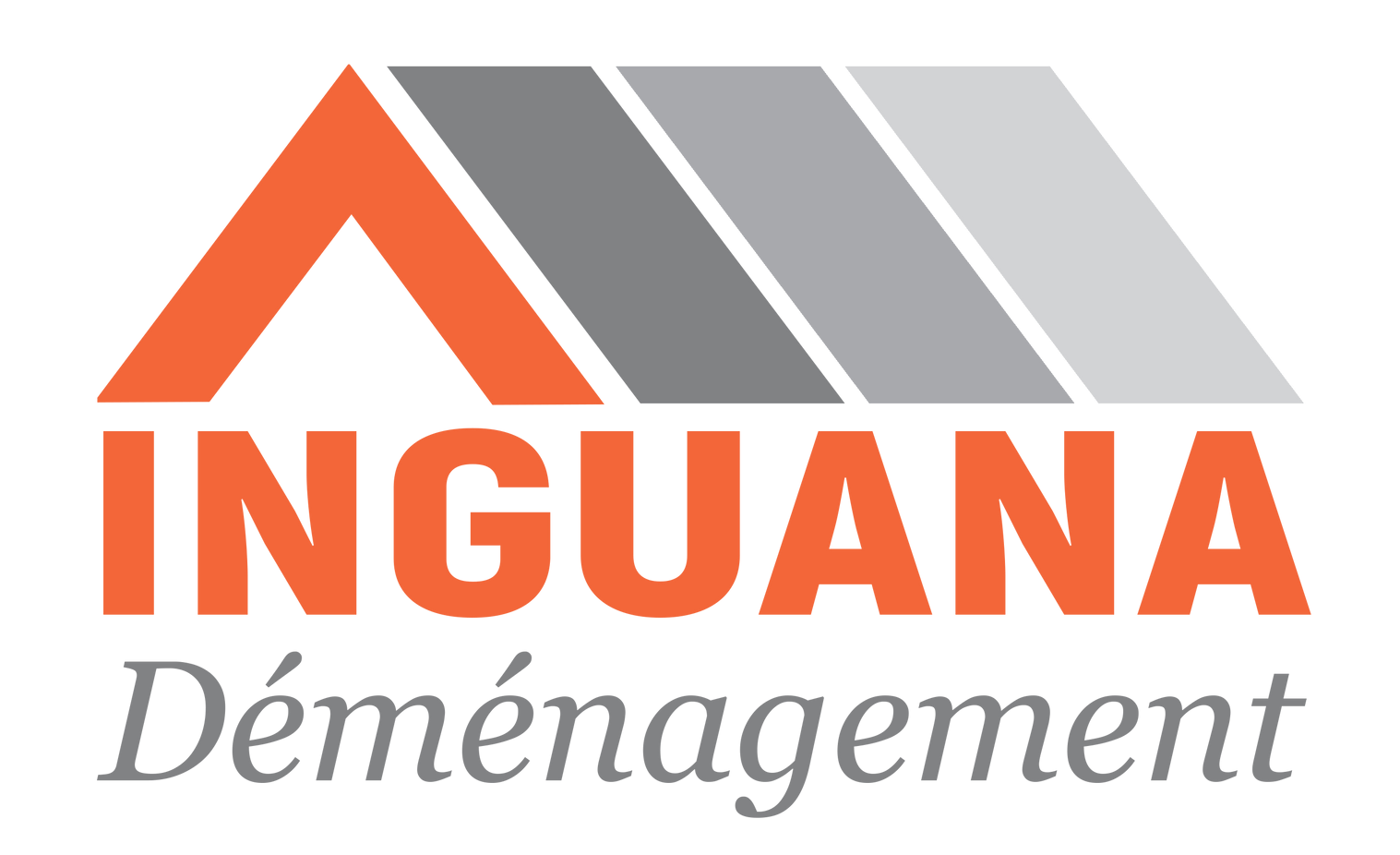 Logo INGUANA