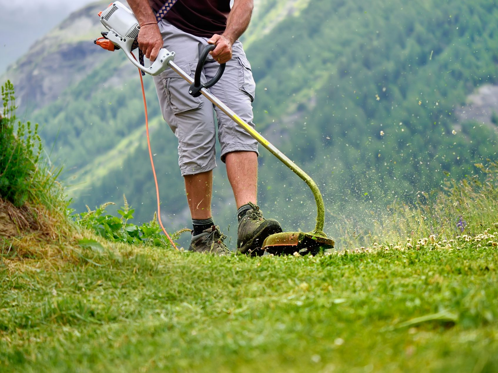 Débrousaillage de terrain