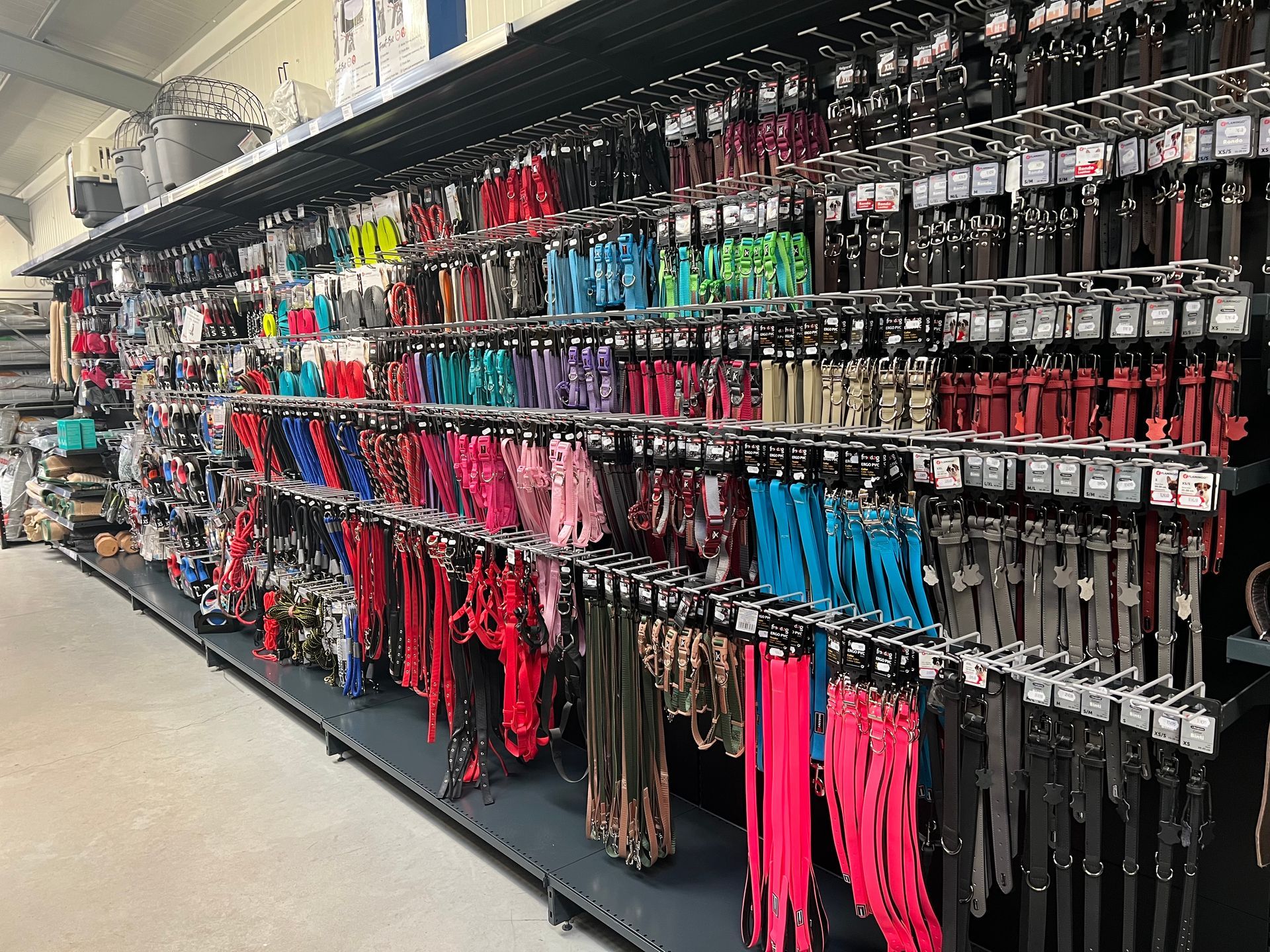 Rayon de laisses pour chiens