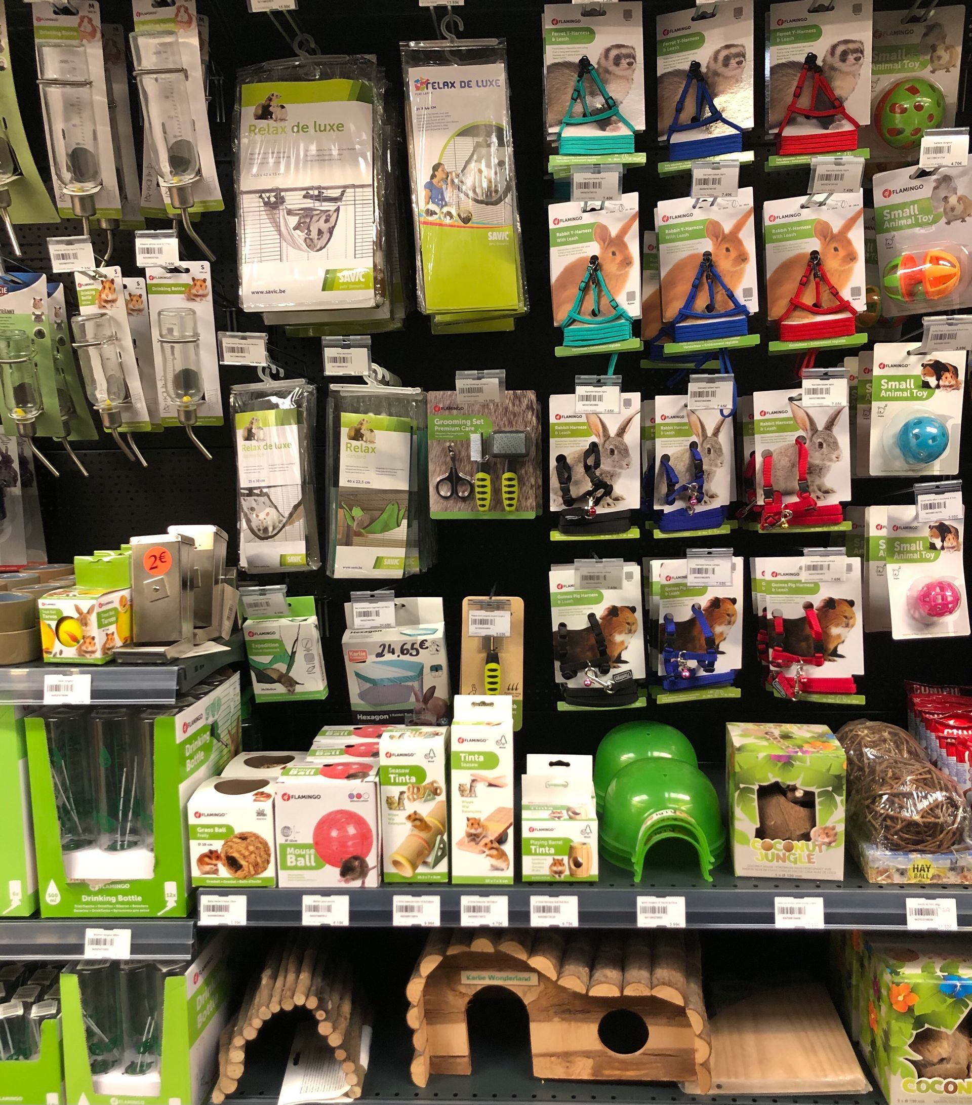 Harnais et accessoires pour rongeurs