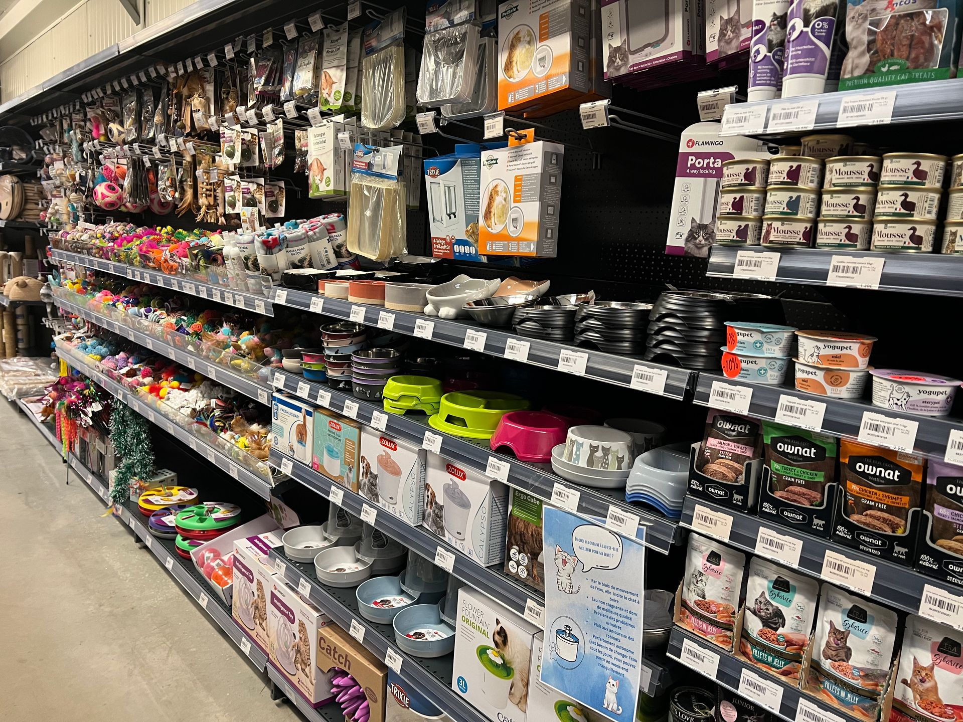 Alimentation pour chats