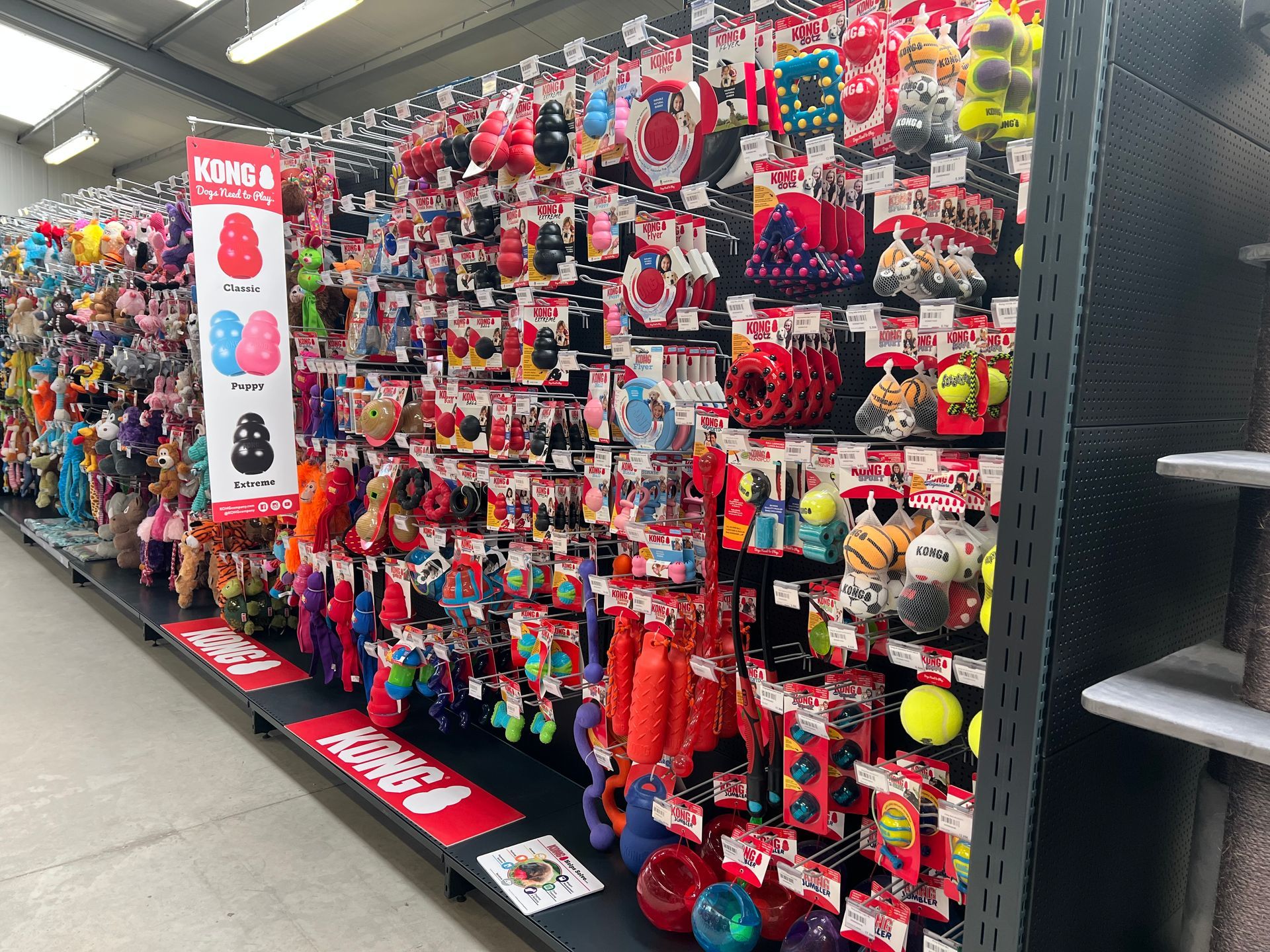 Rayon de jouets pour chiens