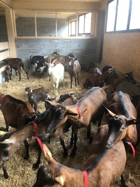 Un salon avec un canapé blanc et une table en bois