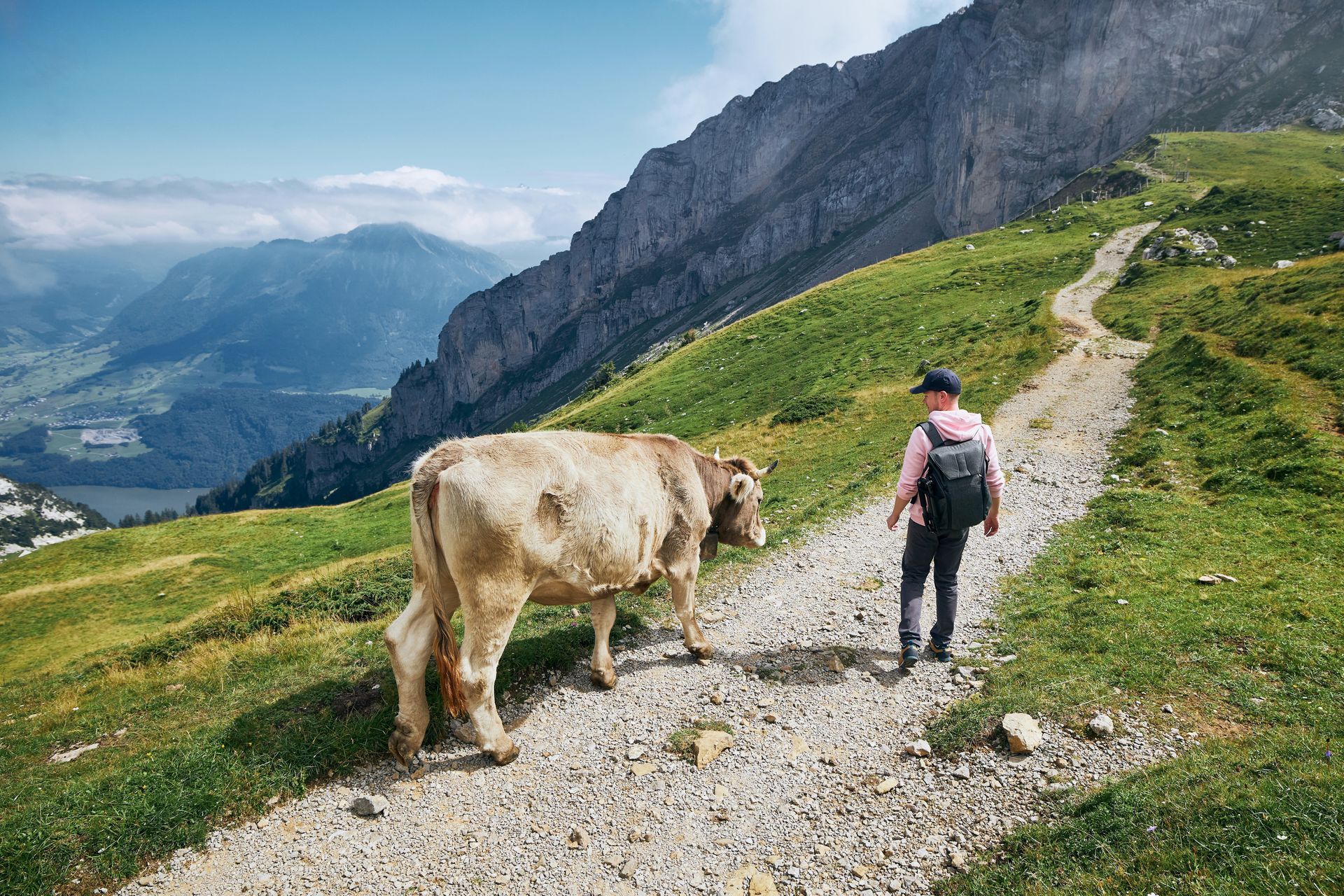 Un homme et une vache marchent sur un chemin de terre dans les montagnes.