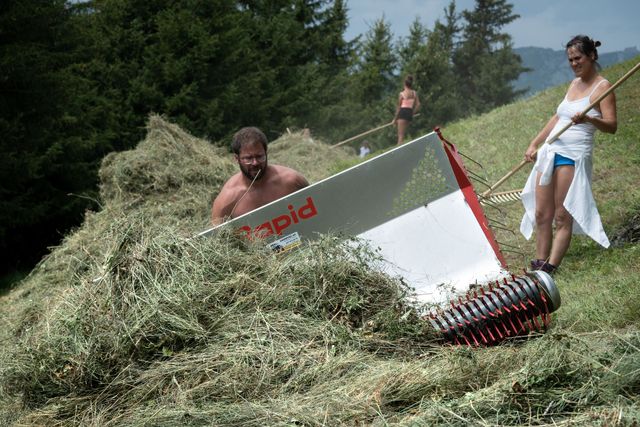 Scaffali pieni di bottiglie e barattoli, incluso uno con la scritta chai