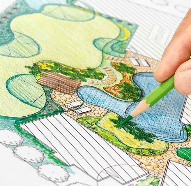 Dessin de l'aménagement d'un jardin avec plantes et piscine