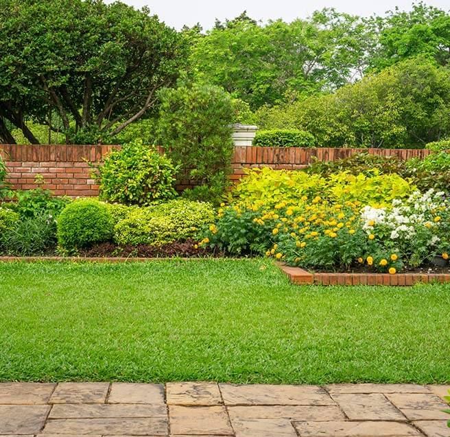 Jardin avec pelouse, bosquets et fleurs jaunes bordé de pavés
