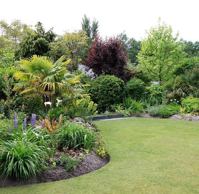 Jardin à la pelouse tondue et aux parterres de plantes et de fleurs