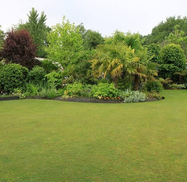 Jardin aménagé, sa pelouse tondue et son parterre d'arbustes