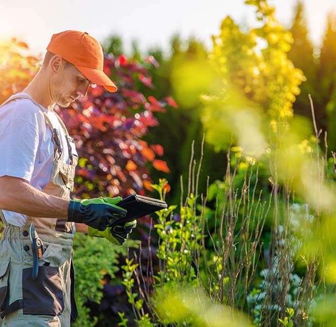 Paysagiste consultant une tablette dans un jardin fleuri