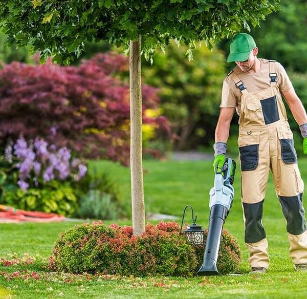 Paysagiste soufflant des feuilles avec souffleuse thermique devant un arbre