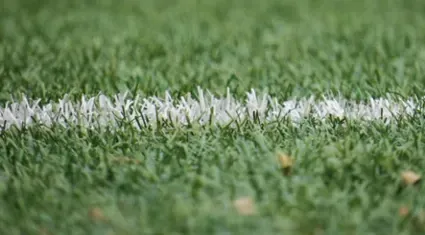 instalación de tepe y césped artificial en Valladolid