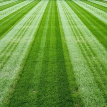 corte de césped Valladolid