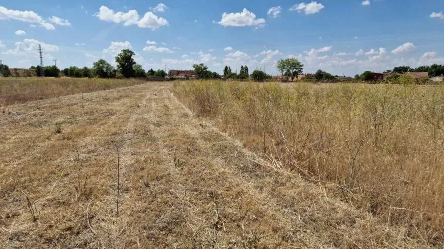 Desbroce de parcela en Valladolid, resultado tras limpieza y control de hierbas secas