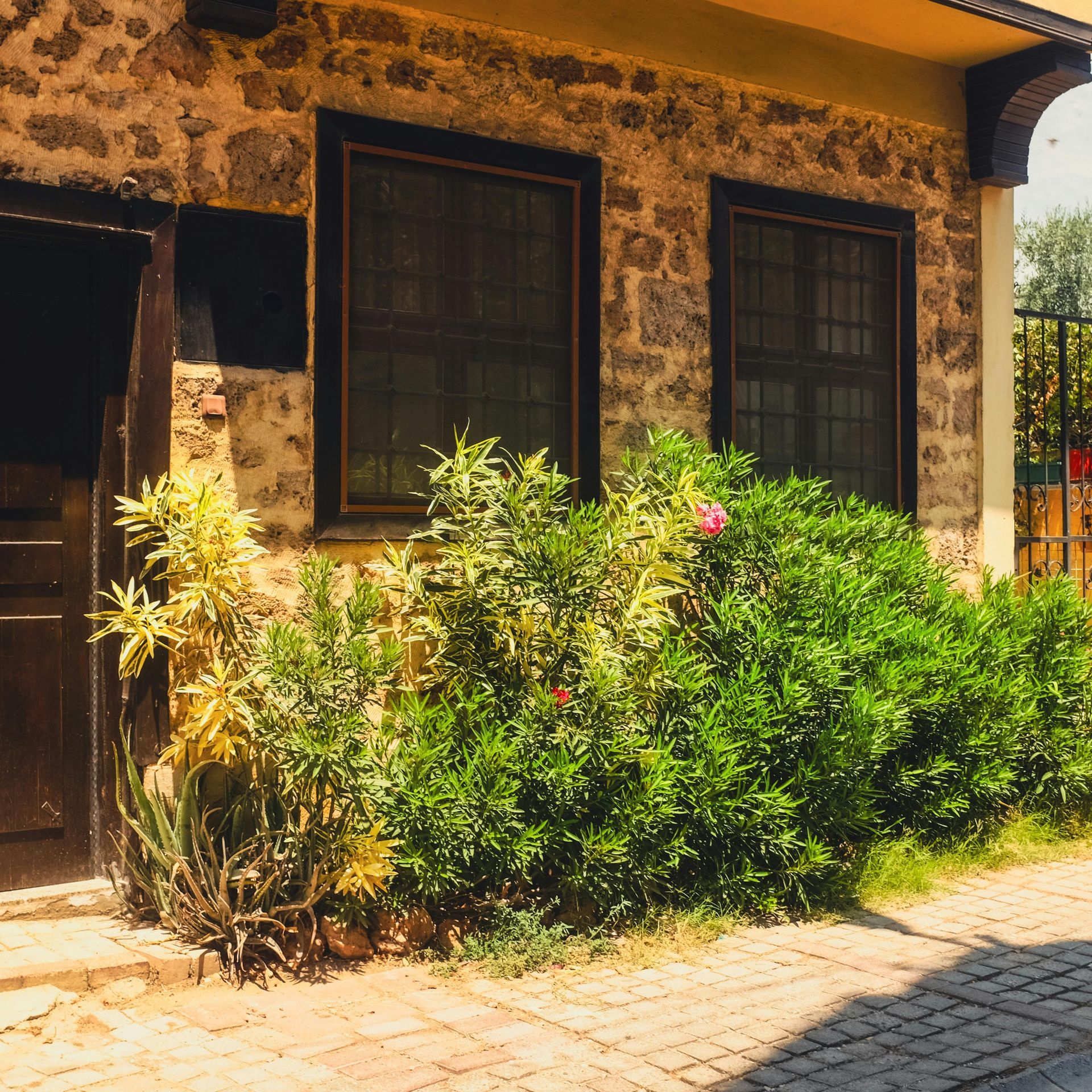 mantenimiento jardín valladolid