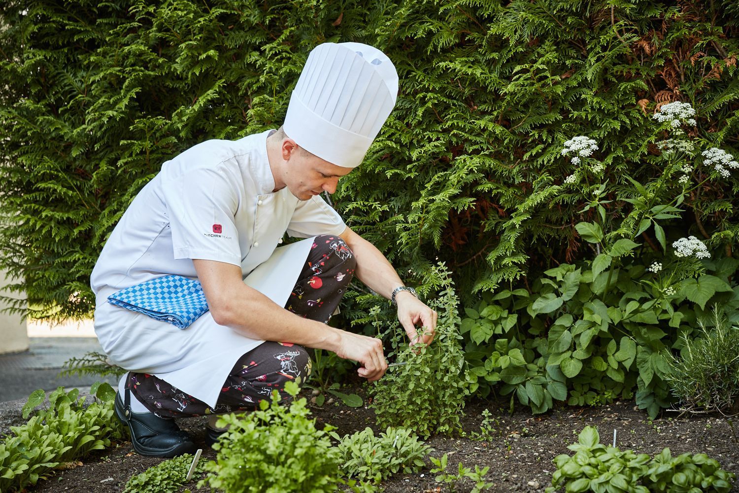 Gasthof zum Rebstock - Muttenz - Galerie 16