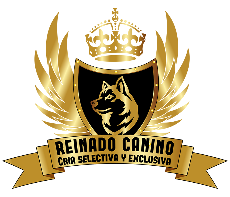 Logotipo dorado para 