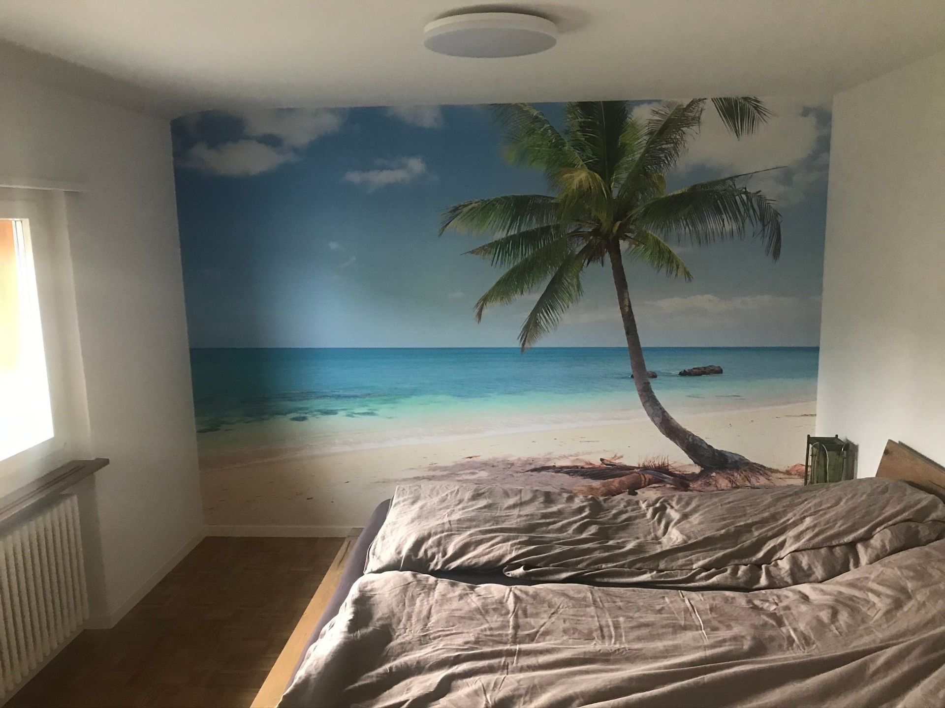 Maler Wild Schafisheim Schimmelentfernung Malen Streichen Tapeten Fassaden