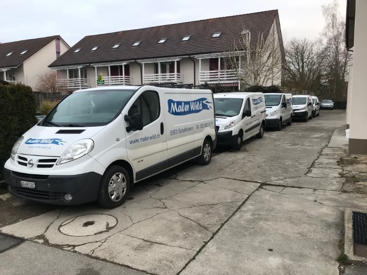 Maler Wild Schafisheim Schimmelentfernung Malen Streichen Tapeten Fassaden