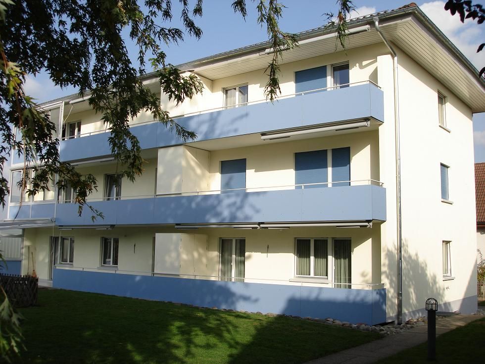 Maler Wild Schafisheim Schimmelentfernung Malen Streichen Tapeten Fassaden