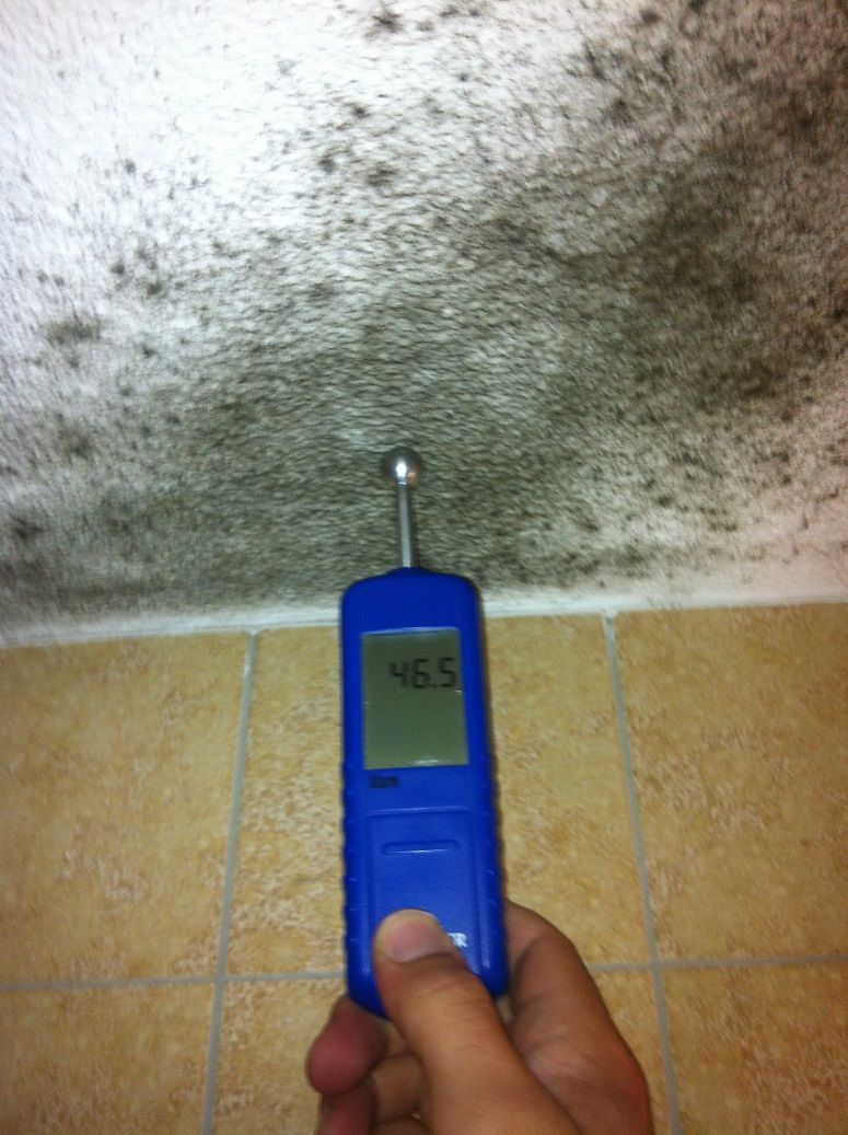 Maler Wild Schafisheim Schimmelentfernung Malen Streichen Tapeten Fassaden