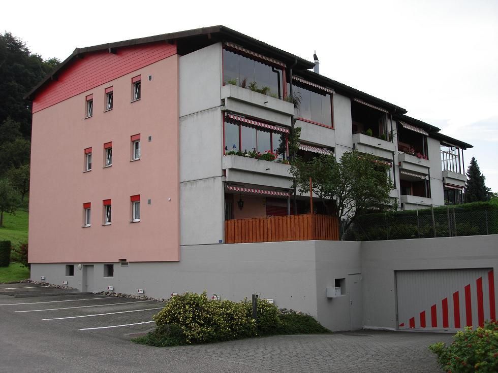 Maler Wild Schafisheim Schimmelentfernung Malen Streichen Tapeten Fassaden