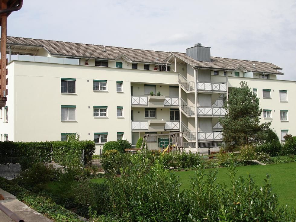 Maler Wild Schafisheim Schimmelentfernung Malen Streichen Tapeten Fassaden