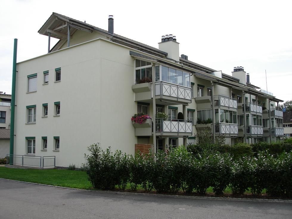 Maler Wild Schafisheim Schimmelentfernung Malen Streichen Tapeten Fassaden