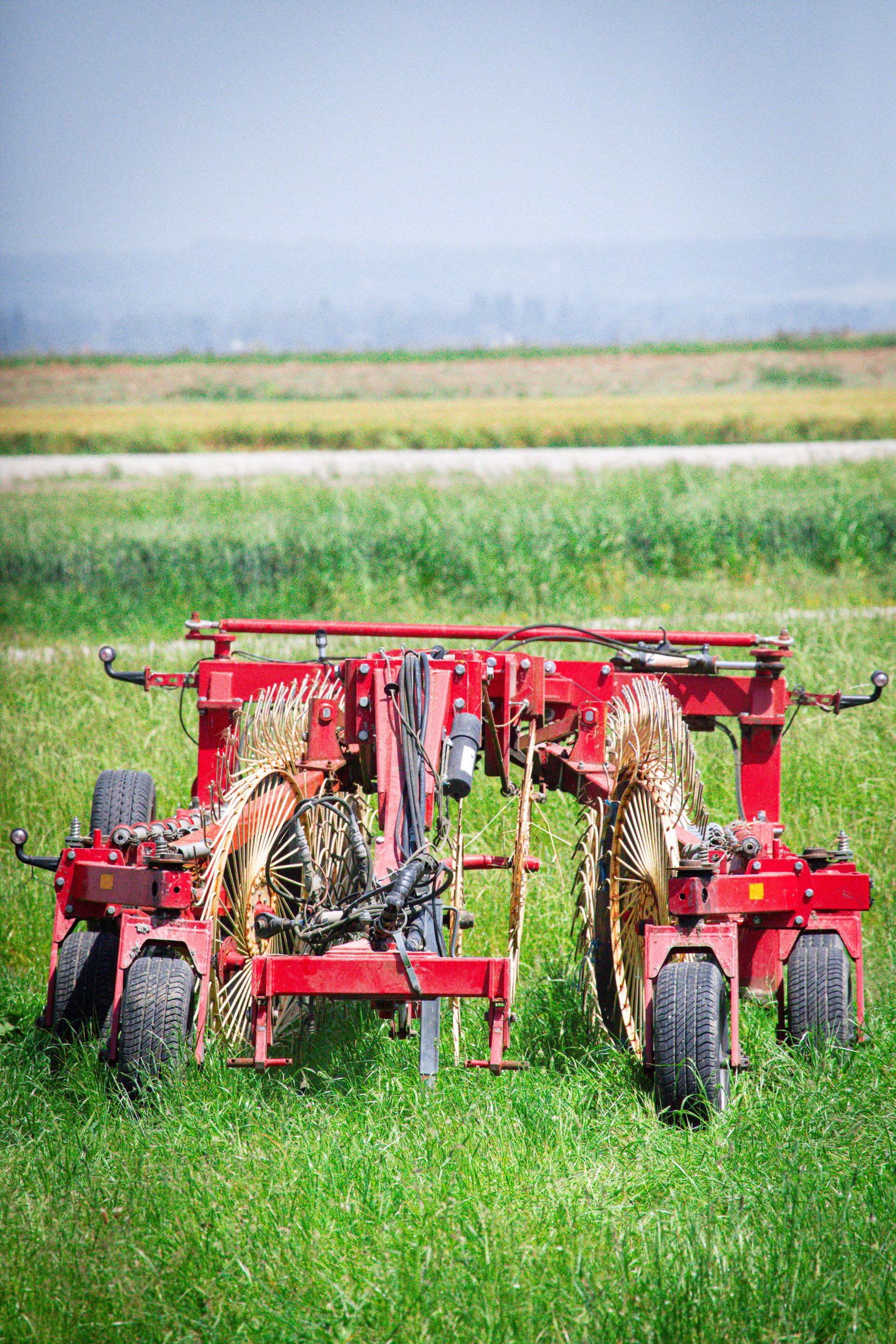 Machines agricoles rouges dans un champ vert d'herbes hautes et d'un horizon brumeux