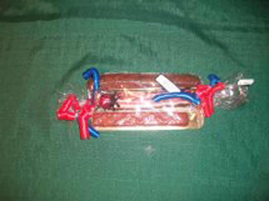 Dorfmetzg Steinmann - Nürensdorf