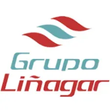 Se muestra un logotipo del grupo Linagar sobre un fondo blanco.