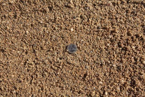 Un centavo está encima de un montón de tierra.