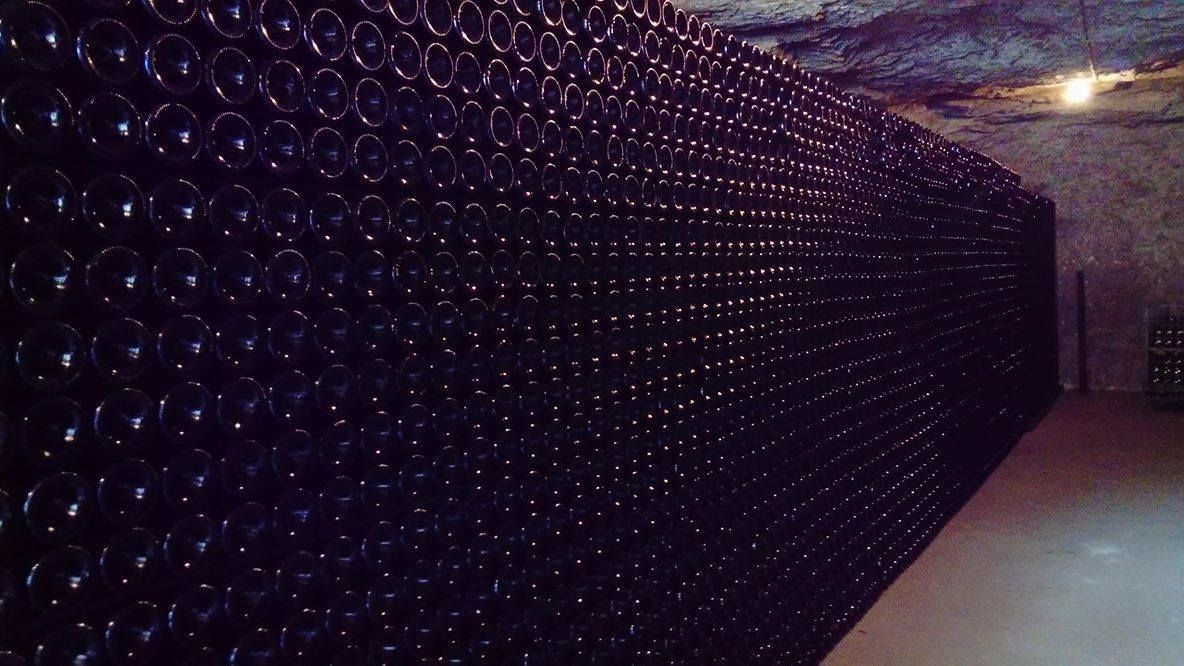 Grande rangée de bouteilles à droite de la cave du domaine