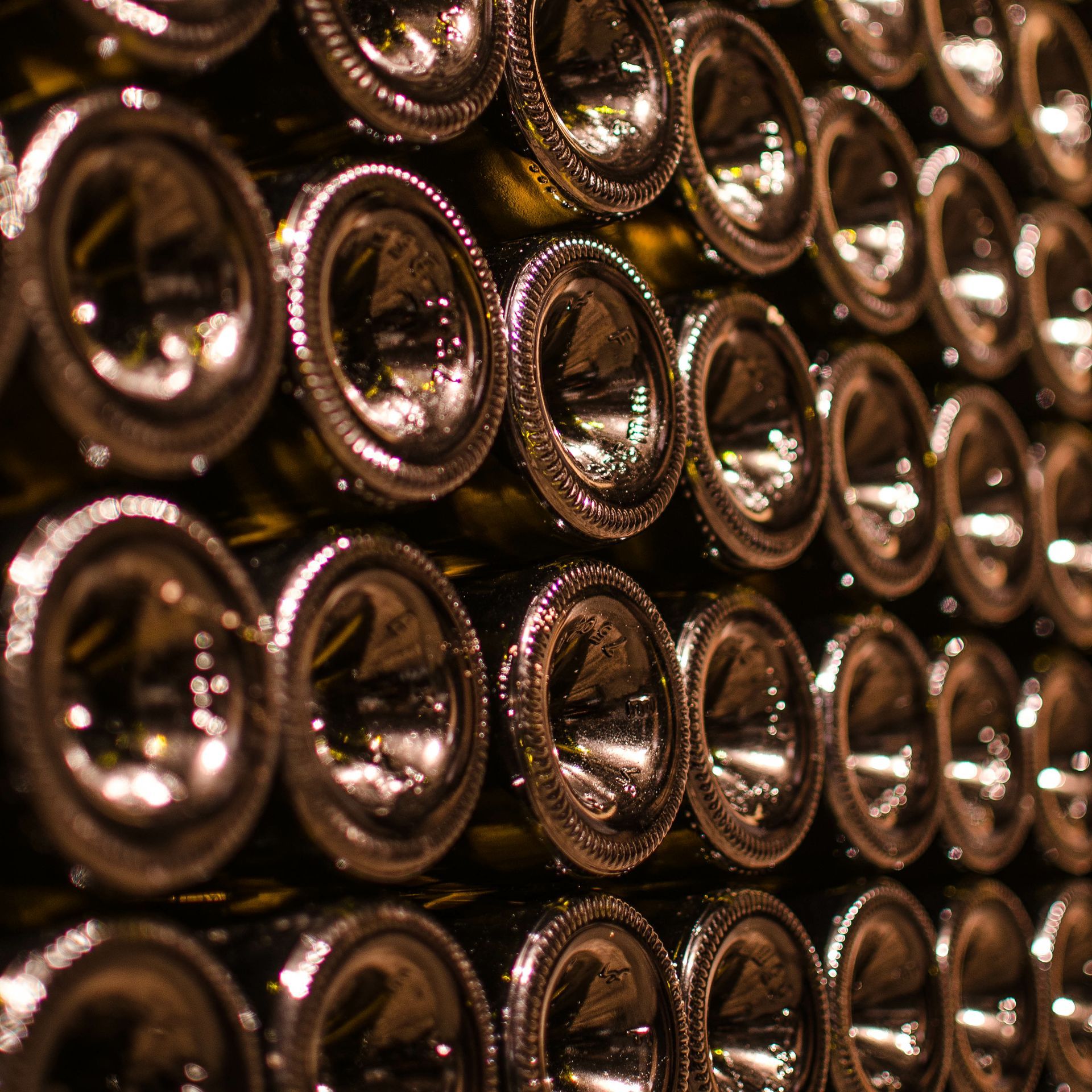 Rangée de bouteilles stockées en cave
