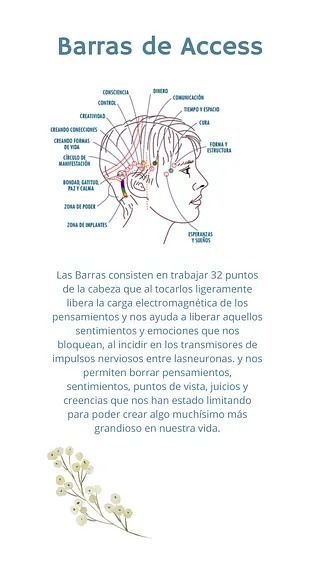 Un dibujo de una cabeza de mujer con una flor en el fondo.
