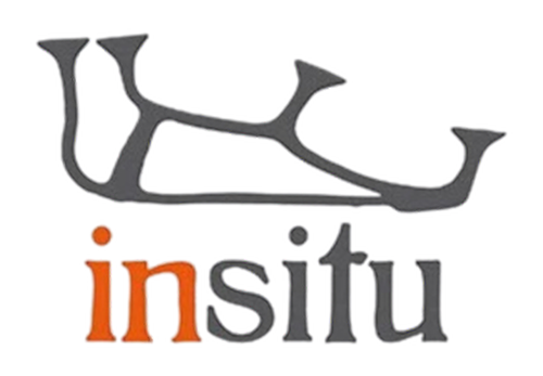 Servicios arqueológicos y antropológicos en Cataluña | INSITU