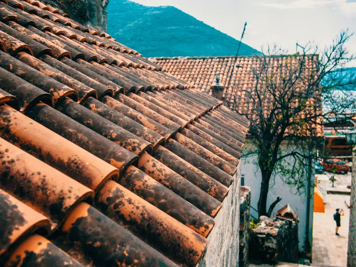 Techo de tejas de terracota con vistas a una calle, con un árbol y montañas al fondo.