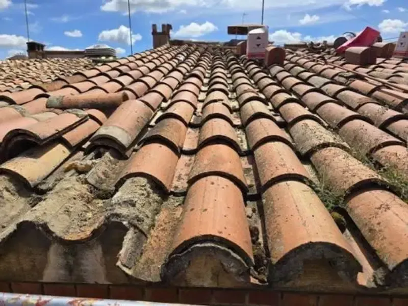 Techo de tejas de terracota con algunas tejas rotas, cielo azul al fondo.