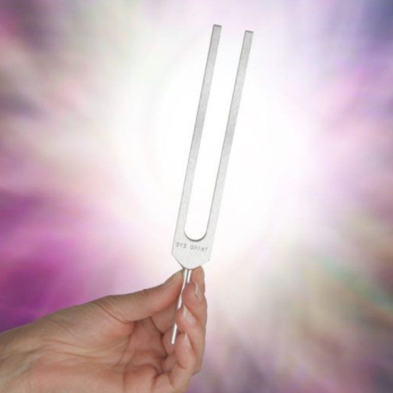 Une personne tient un diapason dans sa main.