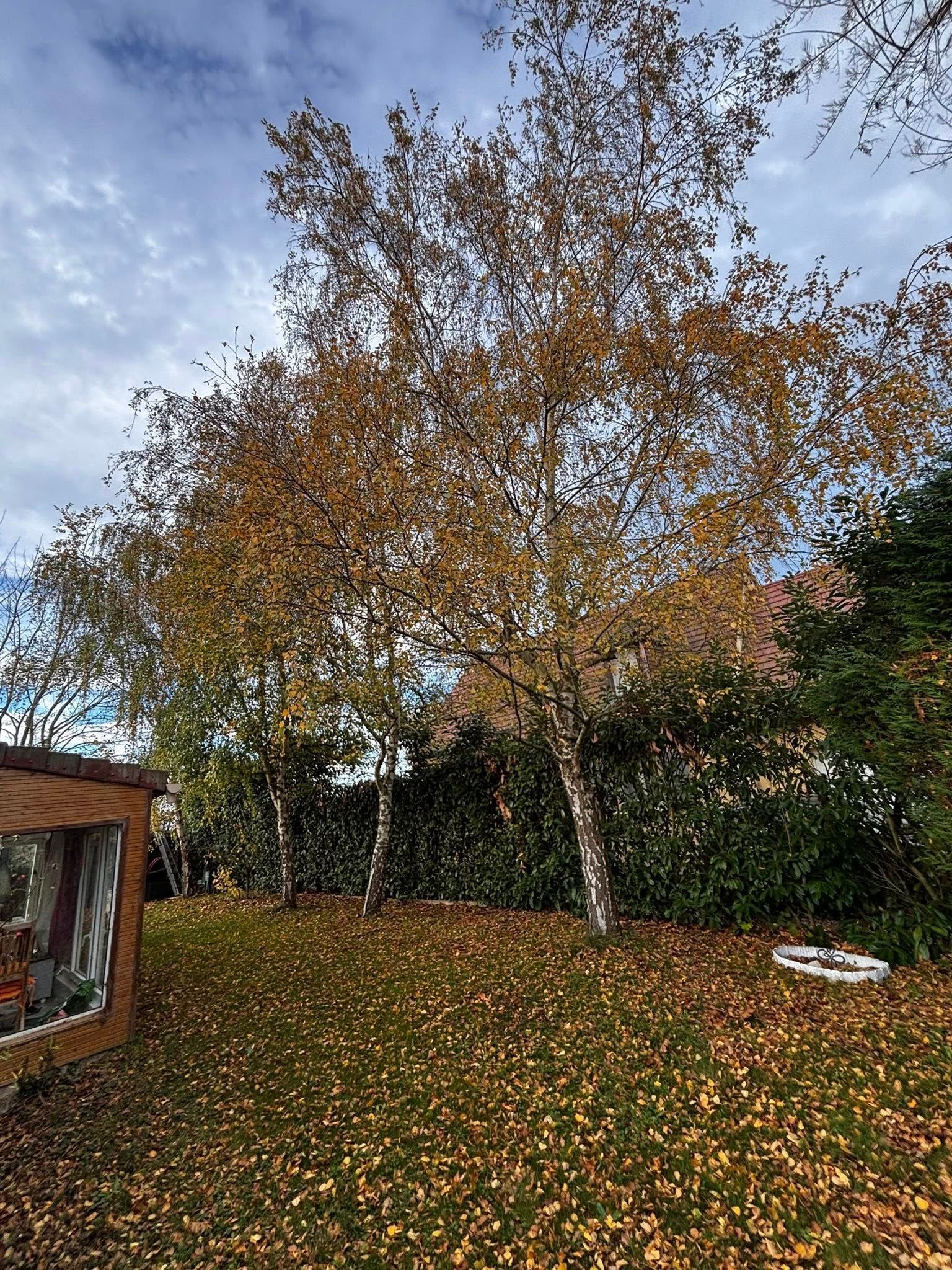 Vers la page Nos réalisations.