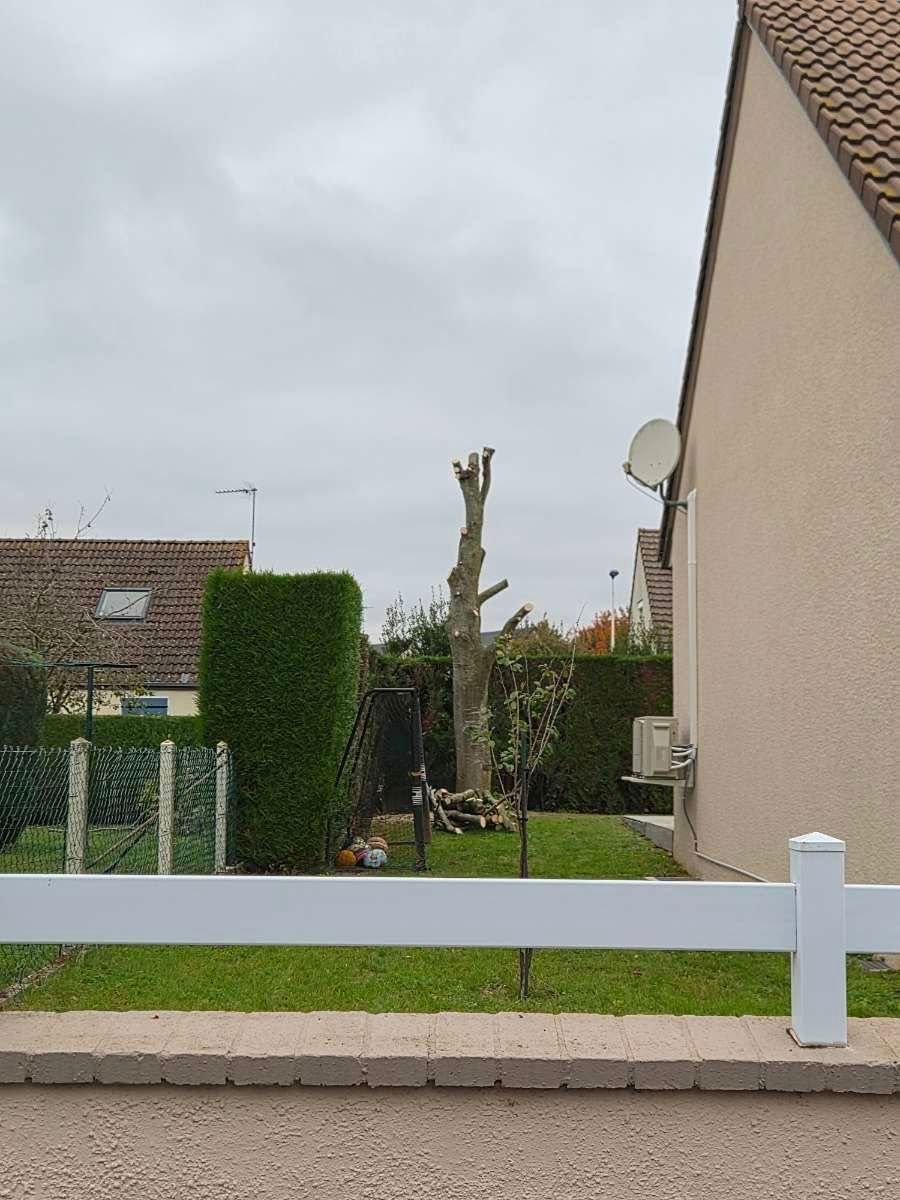 Une maison avec une haute souche d'arbre taillée dans la cour, flanquée d'une haie verte et d'une clôture blanche.