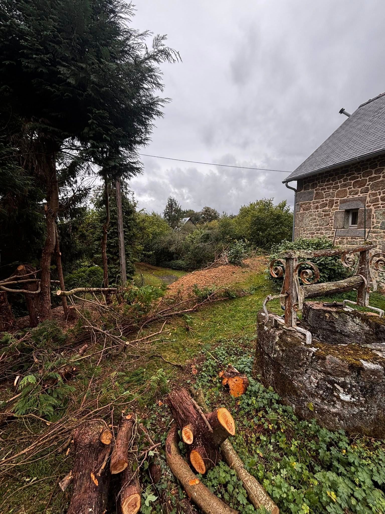 Un bâtiment rustique en pierre se dresse au bord d'une clairière herbeuse, entouré d'arbres.