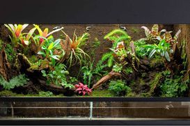 Pflanzen und Erde in einer Glasvase in Kugelform