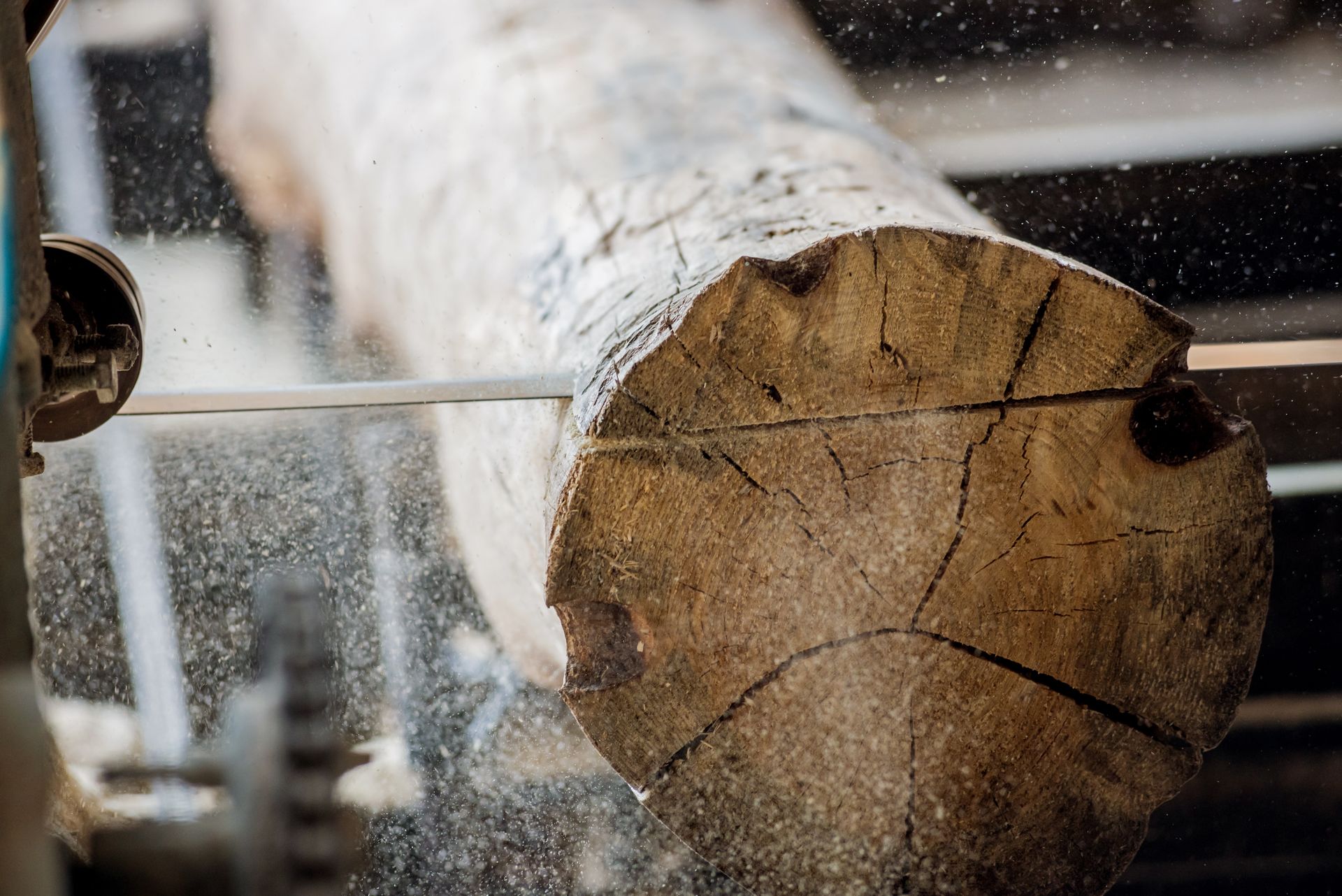 Découpe d'un tronc d'arbre