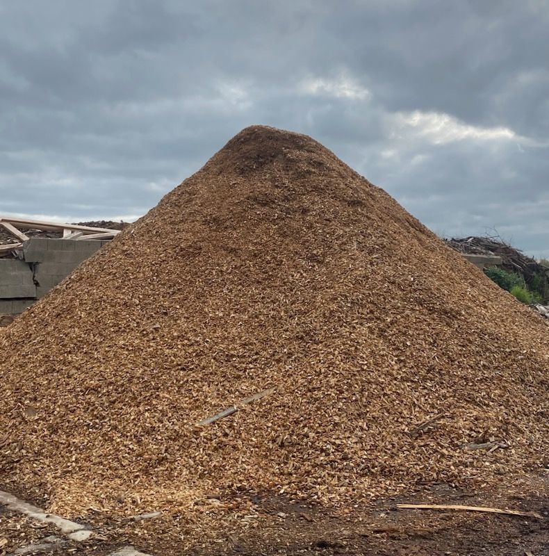 Un tas de bois broyé