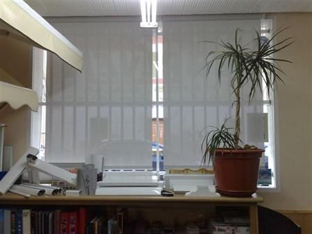 Una planta en maceta se encuentra en un estante frente a una ventana.