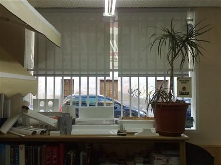 Una planta en maceta se encuentra en un estante frente a una ventana.
