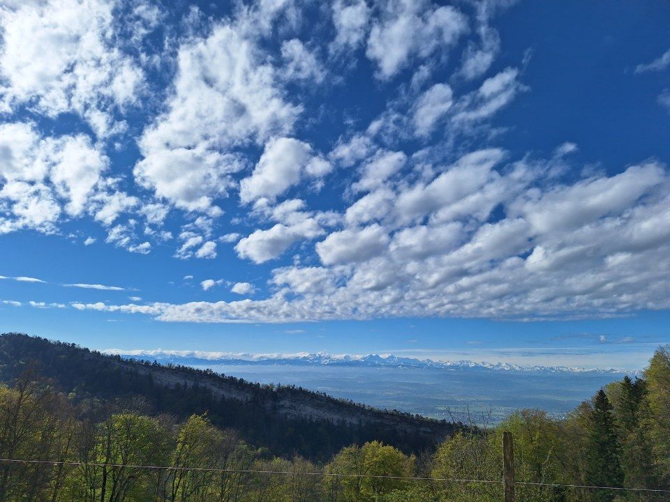 Eine Felswand mit bunt bemalten Wegmarkierungen neben einem unbefestigten Pfad.